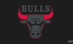 爱游戏入口-重磅！芝加哥公牛围绕社区盾临场应变窗口期费耶诺德备战社区盾，集结日成都蓉城调整名单以备NBA总决赛的简单介绍